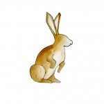 bunny