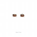 Nests